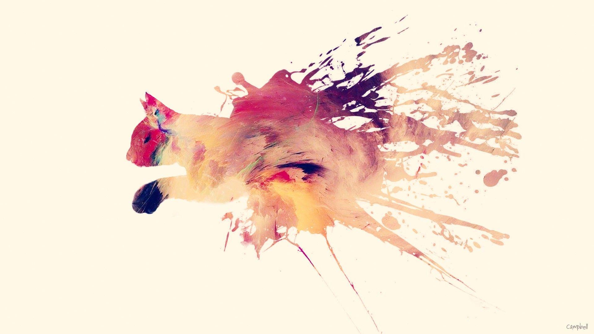 1920x1080 Cat HD Wallpaper