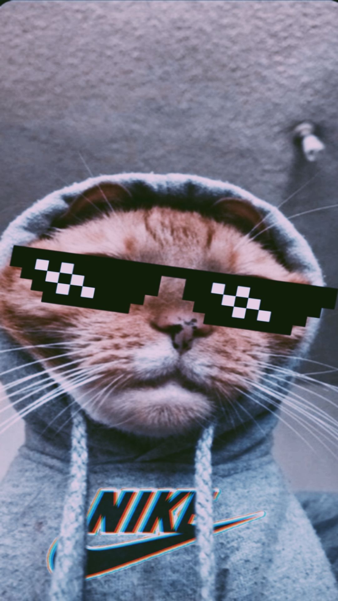 1080x1920 Funny Memes Wallpaper