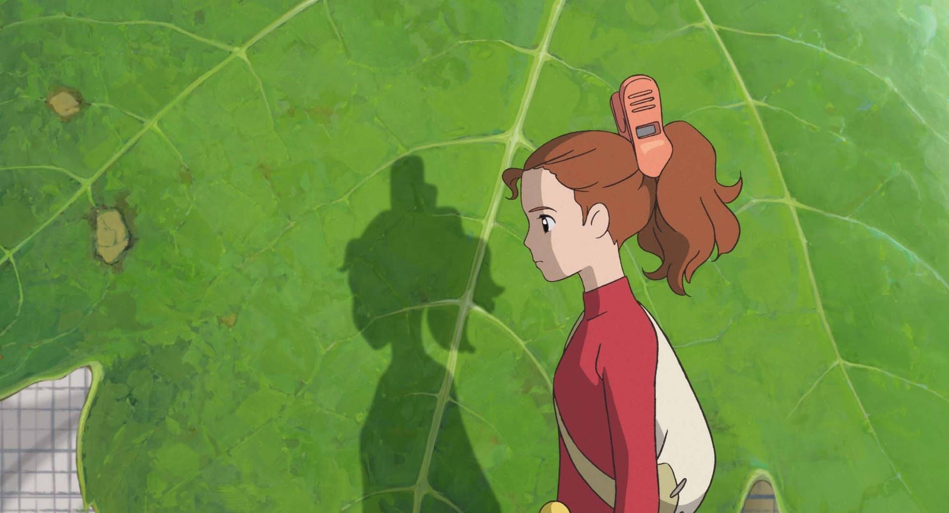 1920x1039 Arrietty Standing Side View Wallpaper