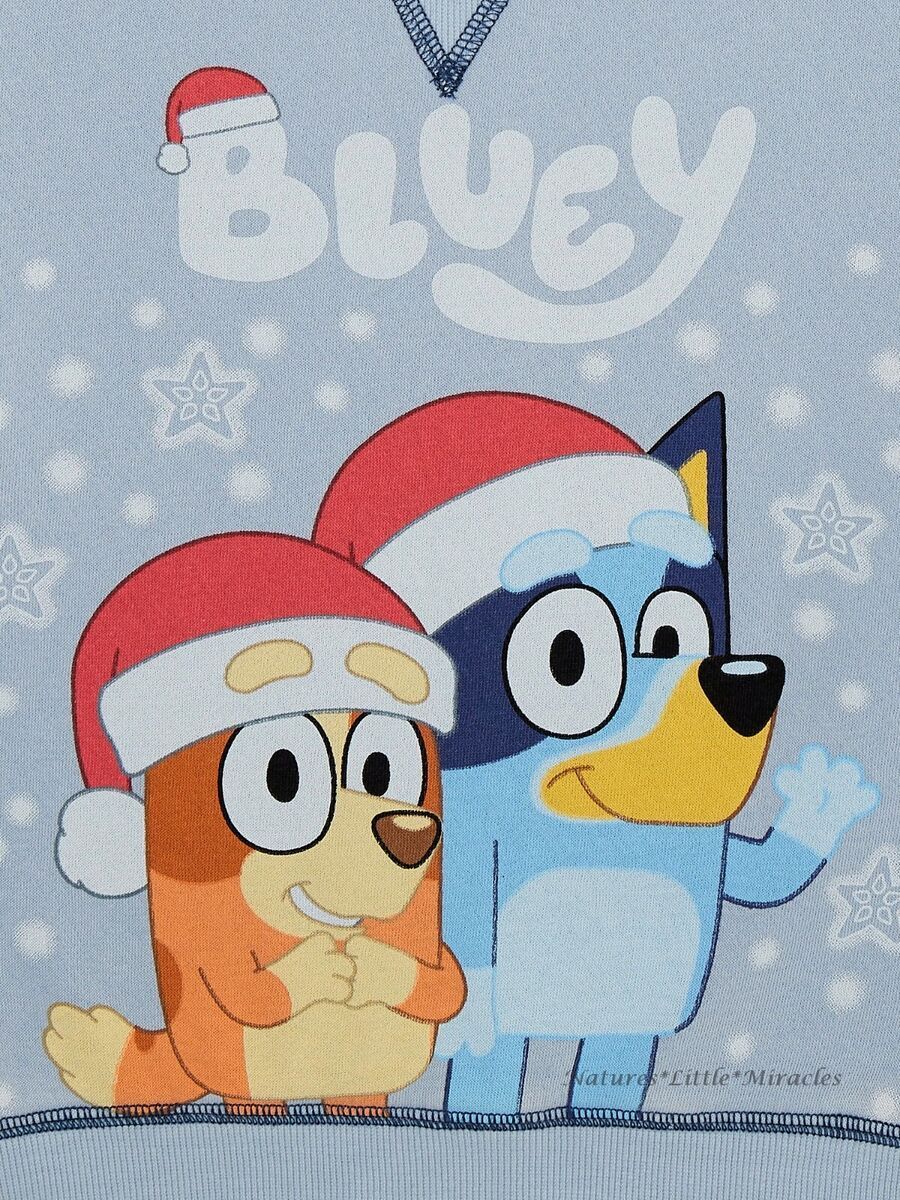 900x1200 Bluey Christmas Shirt Boy Girl Disney