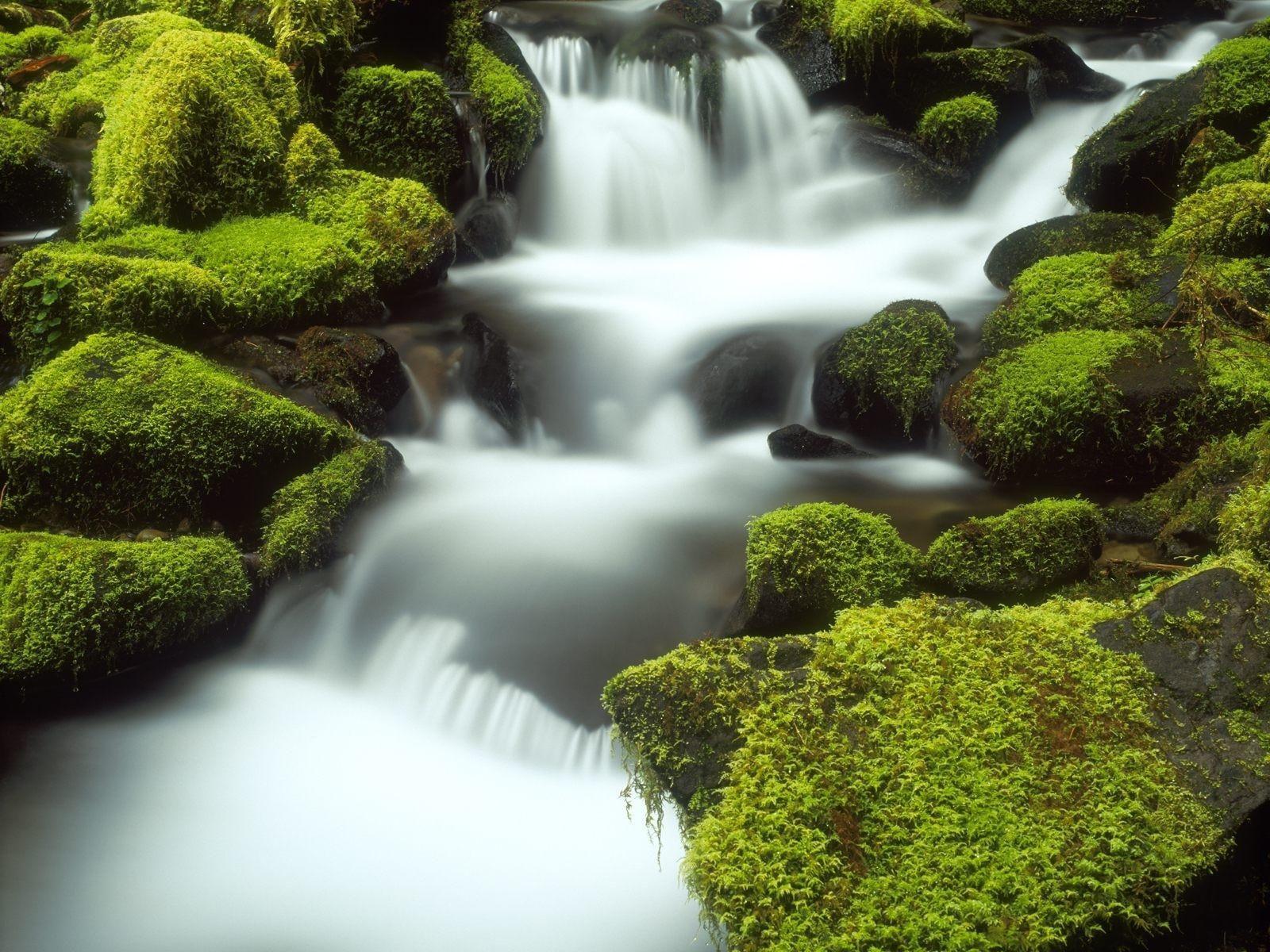 1600x1200 Desktop Wallpaper HD 3D Full Screen Nature High Definition