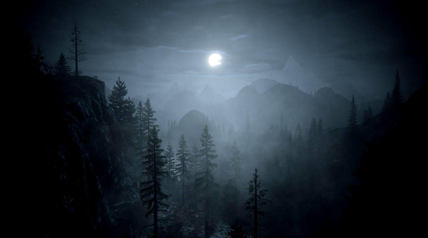 1365x759 Dark Forest Wallpaper