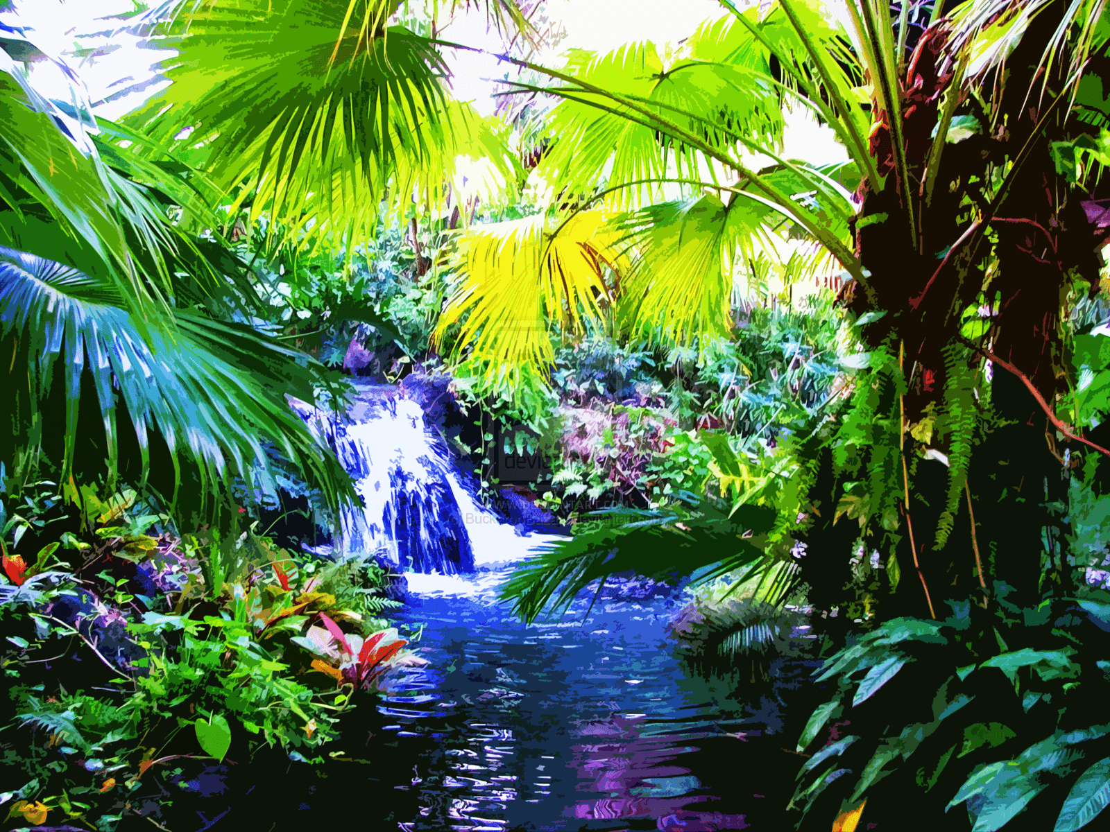 Tropical Rainforest Wallpapers - Top Free Tropical Rainforest 