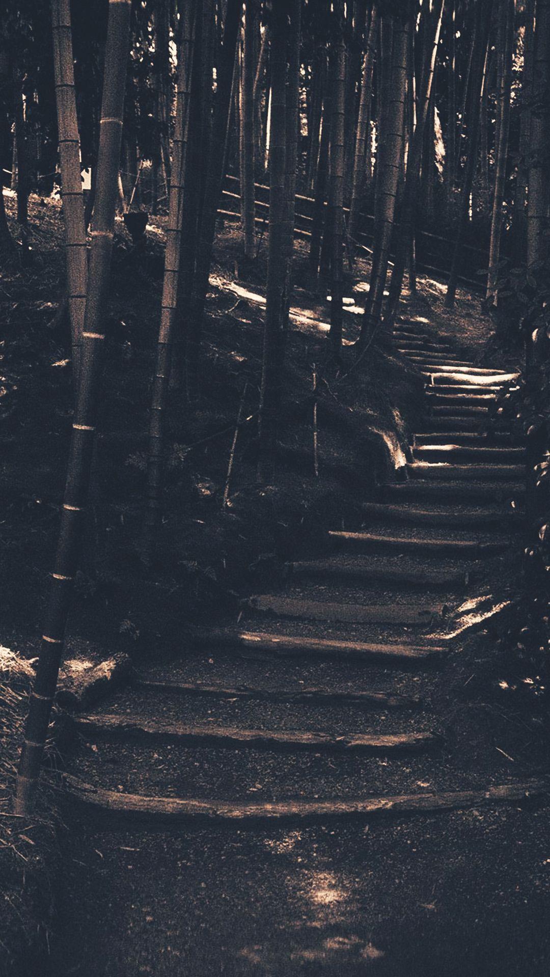 Android Forest Wallpapers Top Free Android Forest Backgrounds