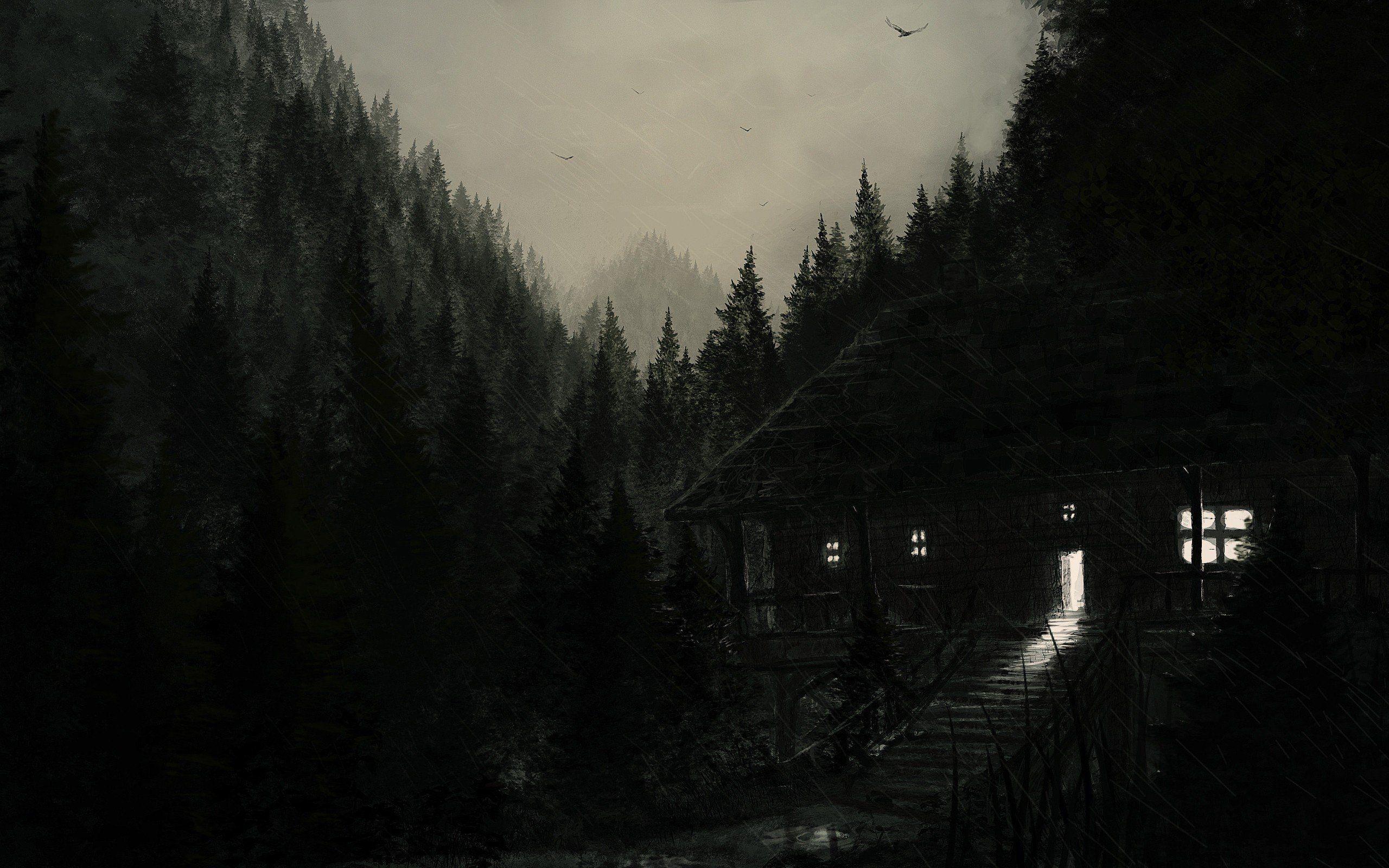 2560x1600 Dark Forest Wallpaper Phone. Nature HD Wallpaper