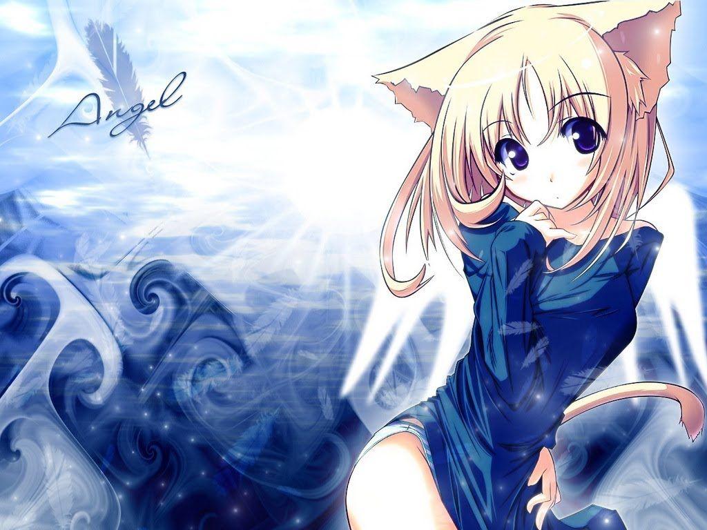 Anime Cat Wallpapers Top Free Anime Cat Backgrounds WallpaperAccess