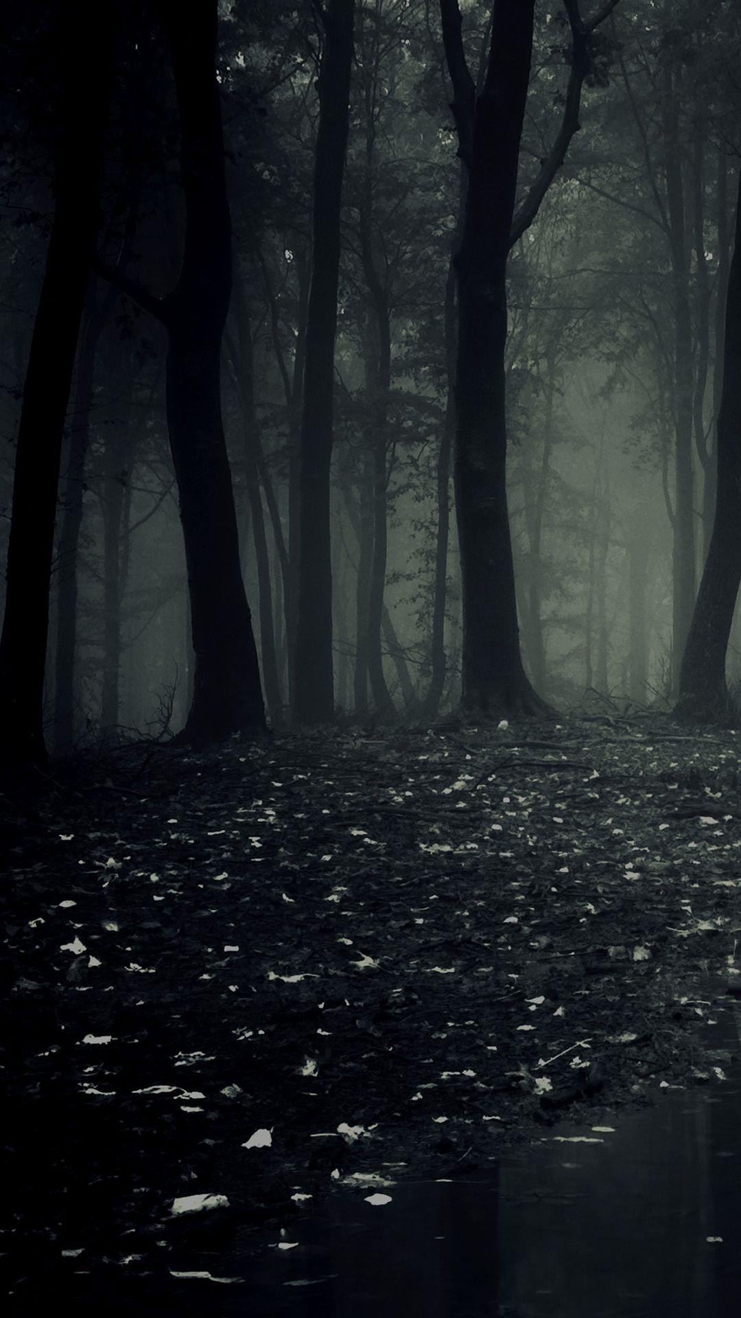 1080x1920 Dark Forest HD Android Wallpaper