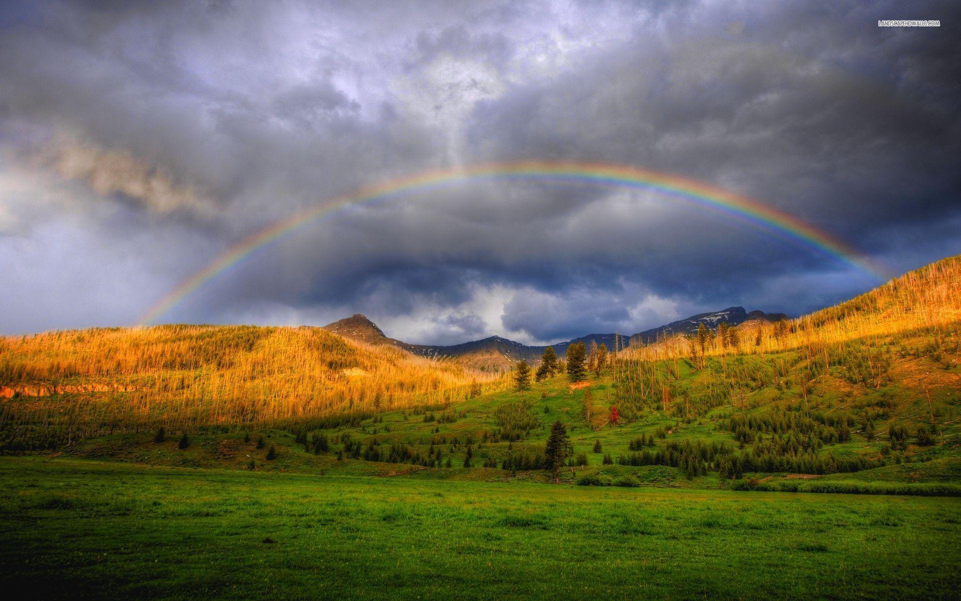 Where is the rainbow forest, Calaveras Sheriff Puts Forest Freedom ...