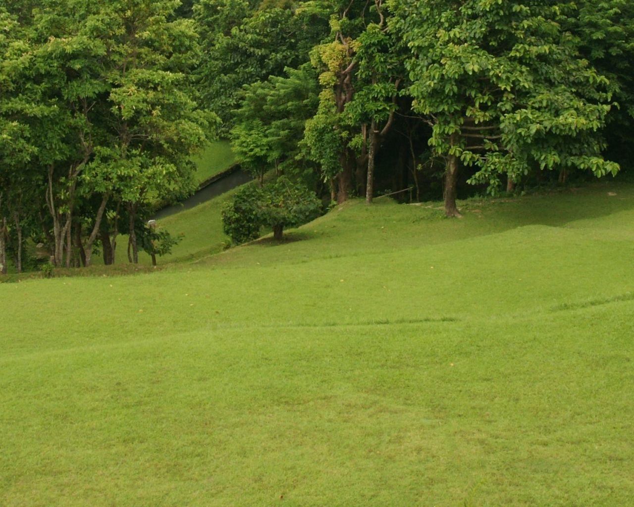 1280x1024 Free download Golf Course Dual Monitor HD Desk X
