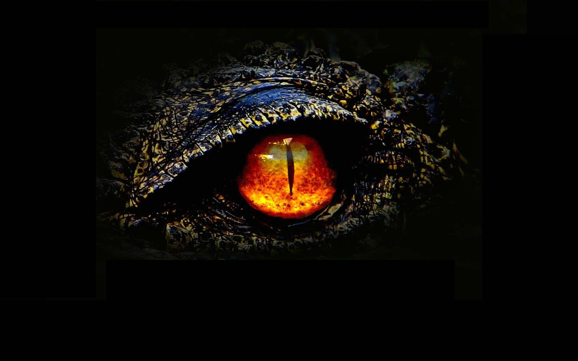 1920x1200 godzilla, Action, Adventure, Sci fi, Fantasy, Monster
