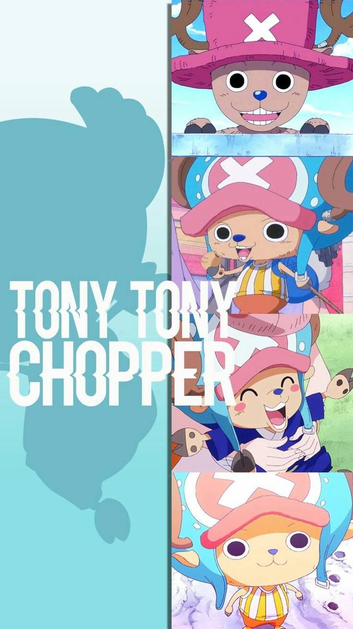 720x1280 Tony tony chopper Wallpaper