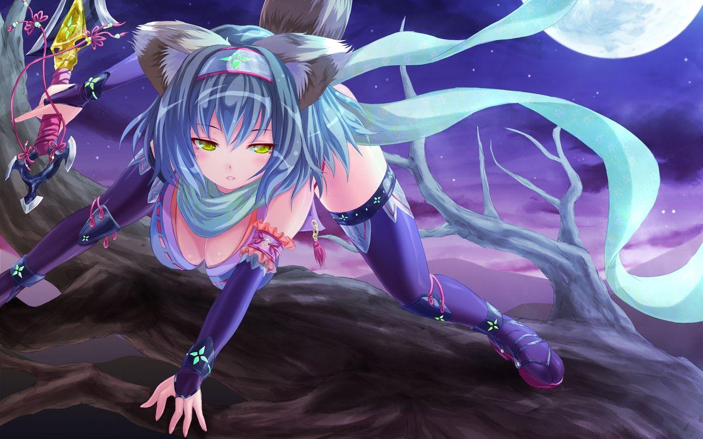 1440x900 Free HQ Animal Ears Blue Hair Cabbaco Ninja Sword Tail Yellow Eyes
