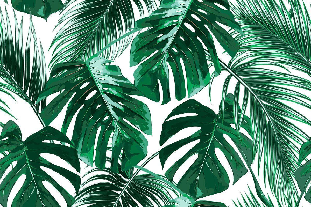 Aesthetic Palm Leaves Wallpapers Top Free Aesthetic Palm Leaves Backgrounds Wallpaperaccess
