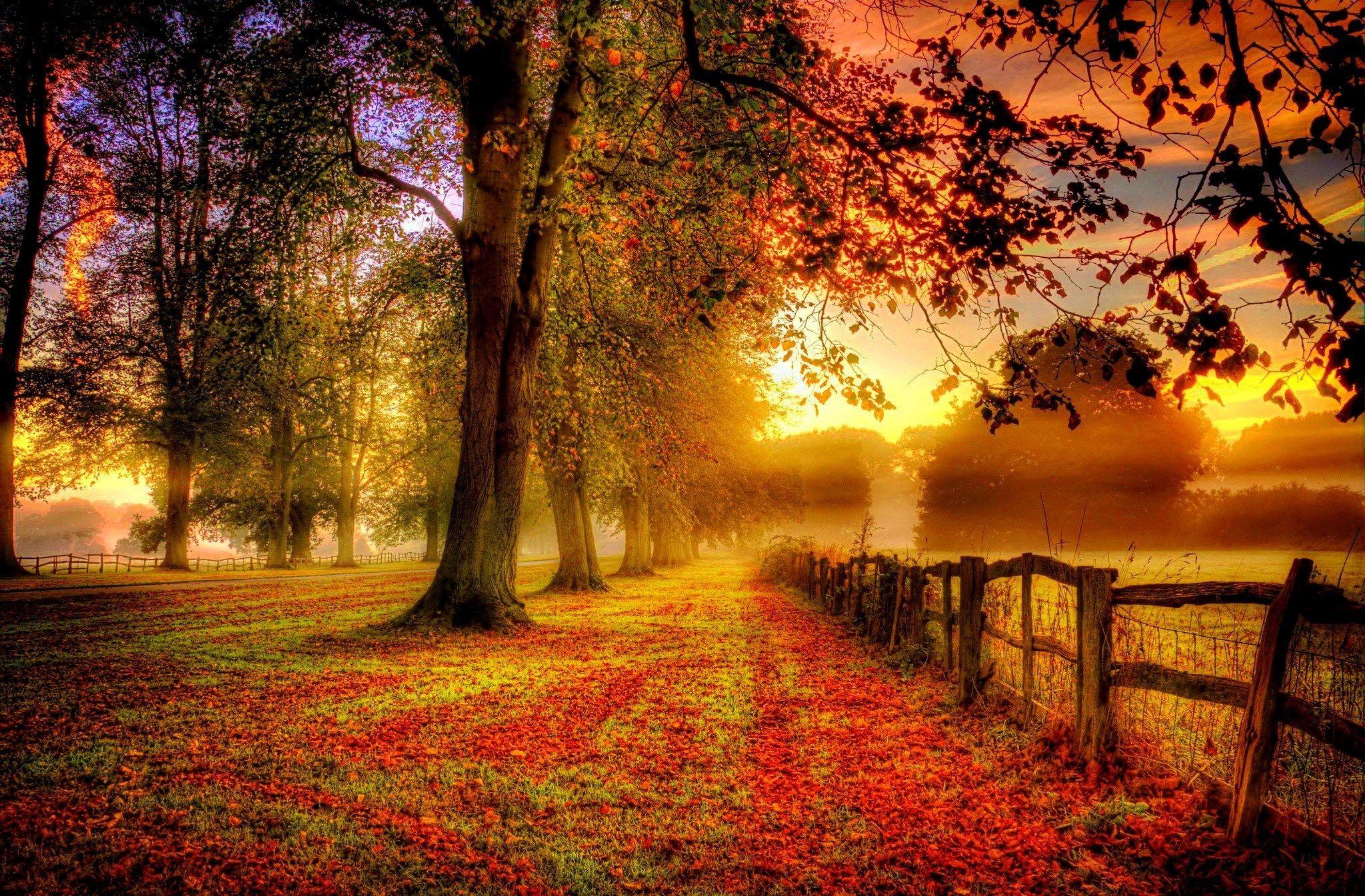 Autumn Laptop Wallpapers - Top Free Autumn Laptop Backgrounds ...