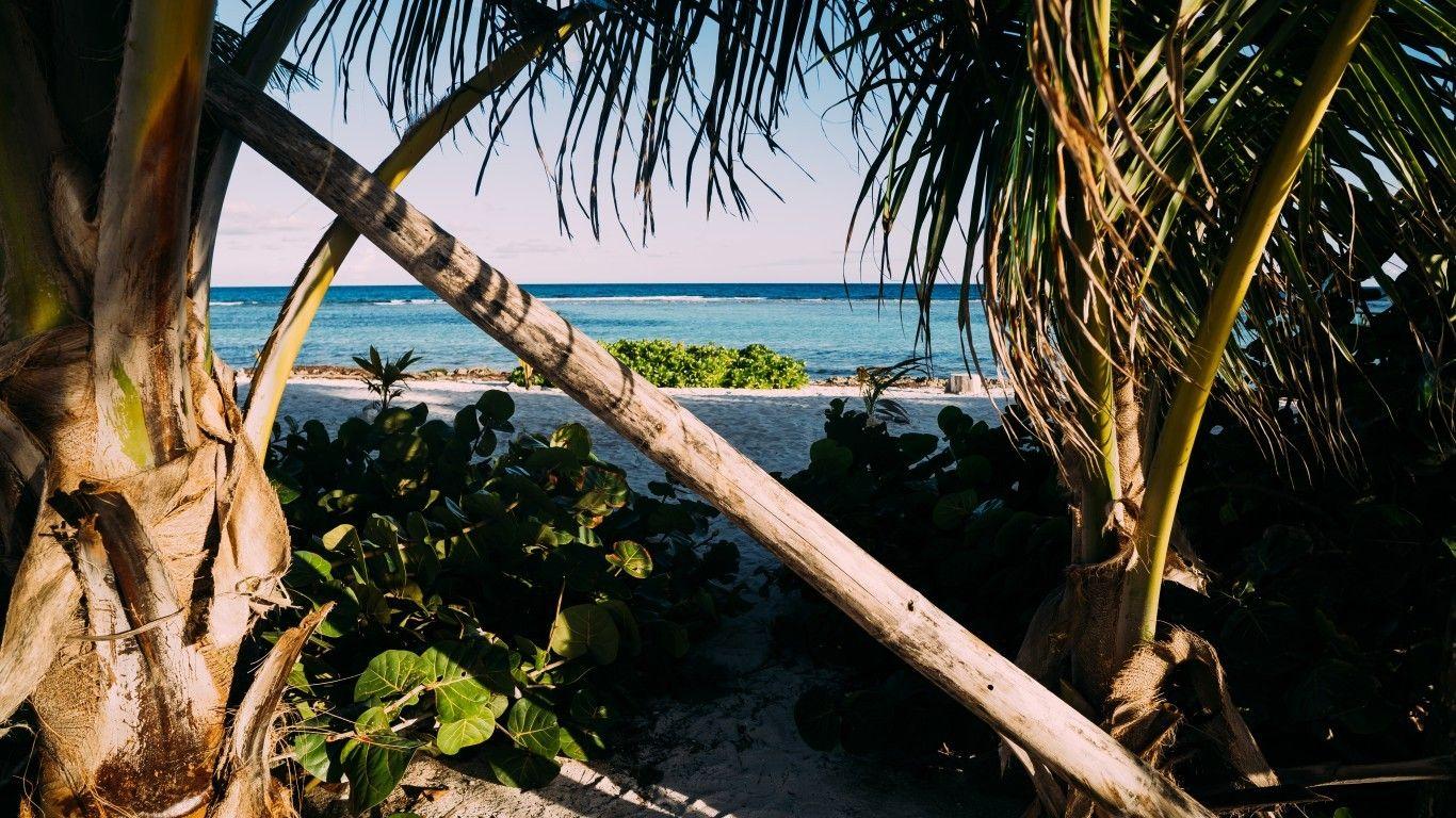 1366x768 Download 1366x768 Palm Trees, Sand, Ocean, Holiday, Coconut