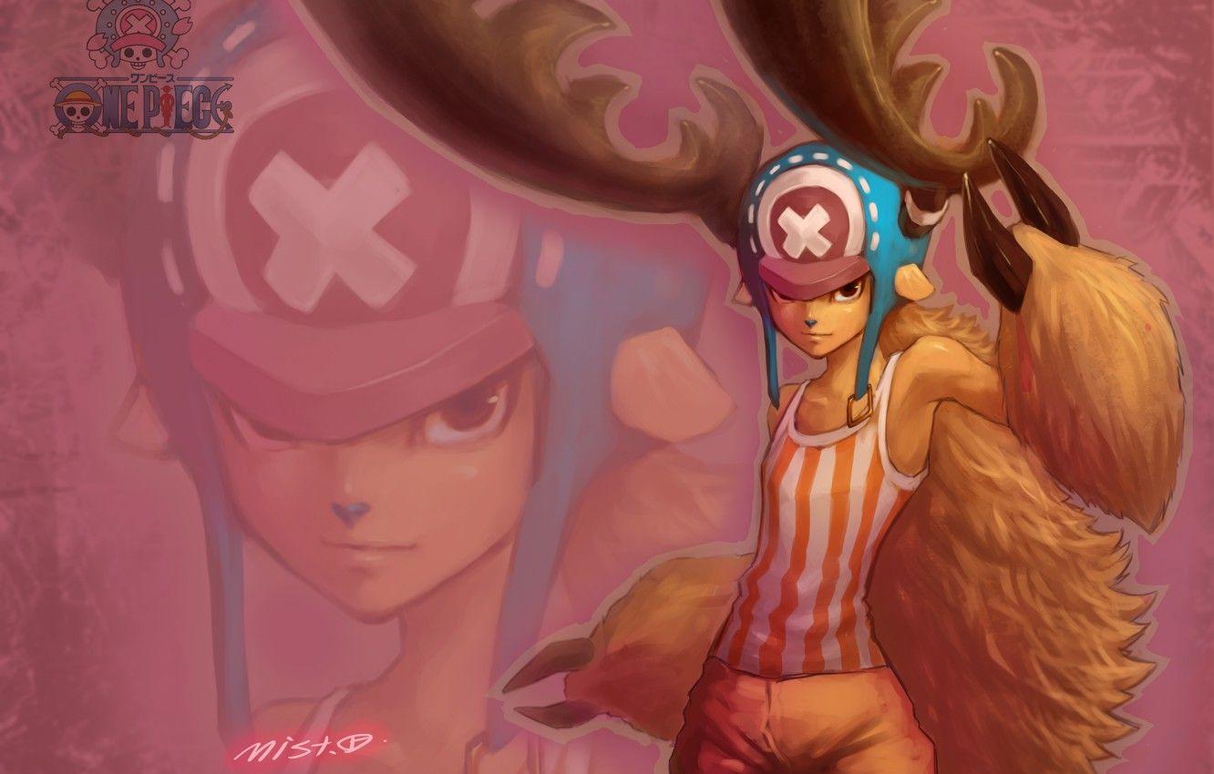 1332x850 Wallpaper hat, boy, art, horns, One Piece, fawn, adorable
