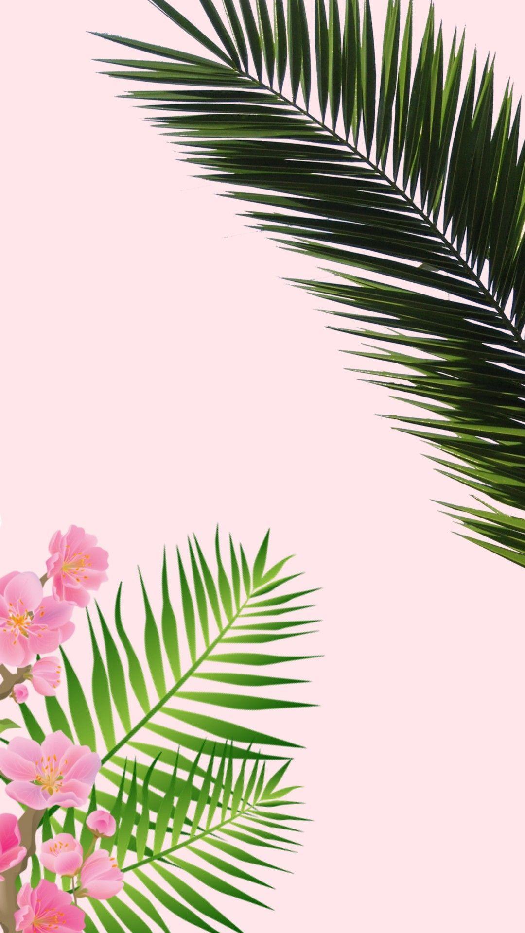 1080x1920 Pink Palm Tree Phone Wallpaper