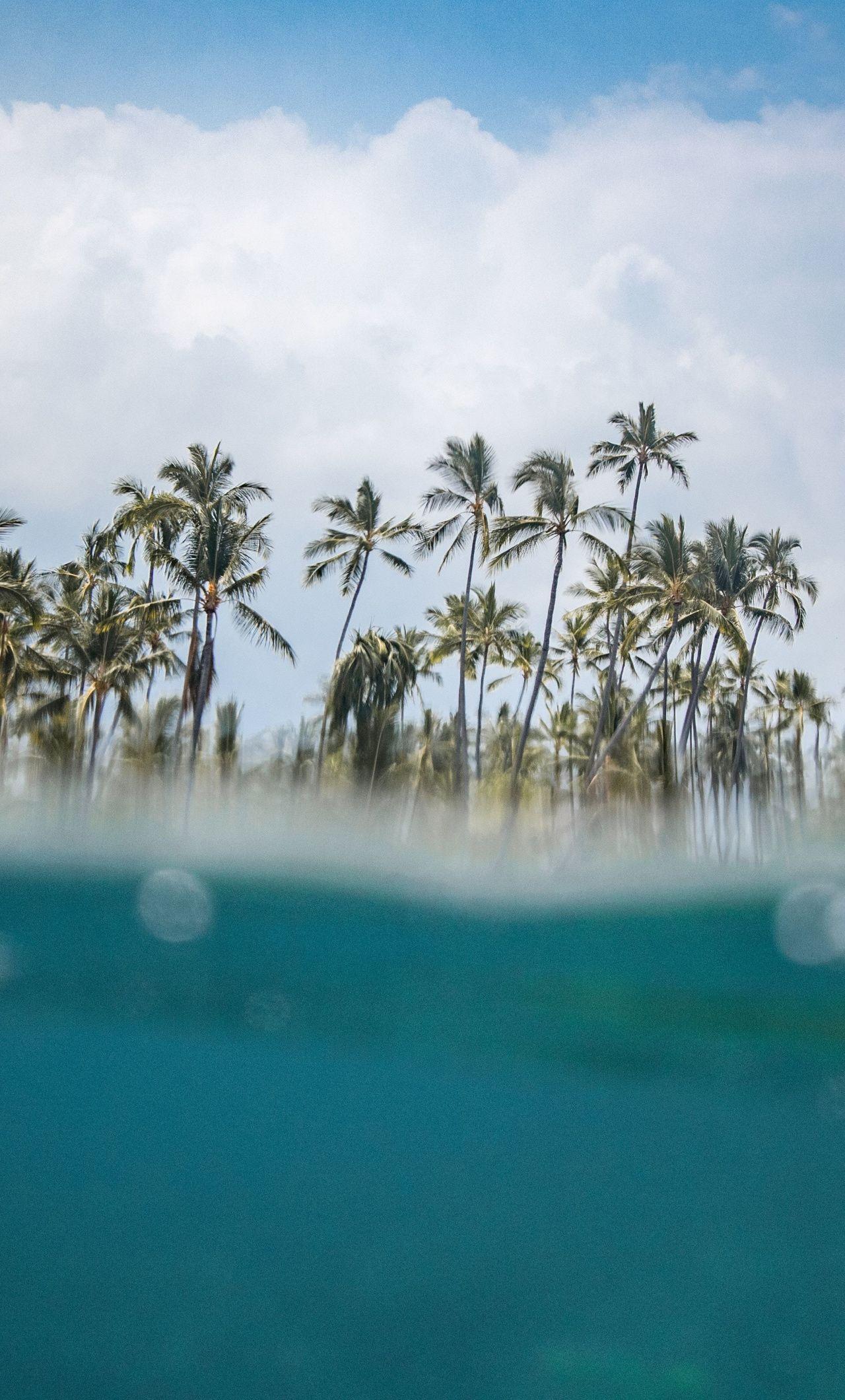 1280x2120 hawaii, beach, sea wave, palm trees .