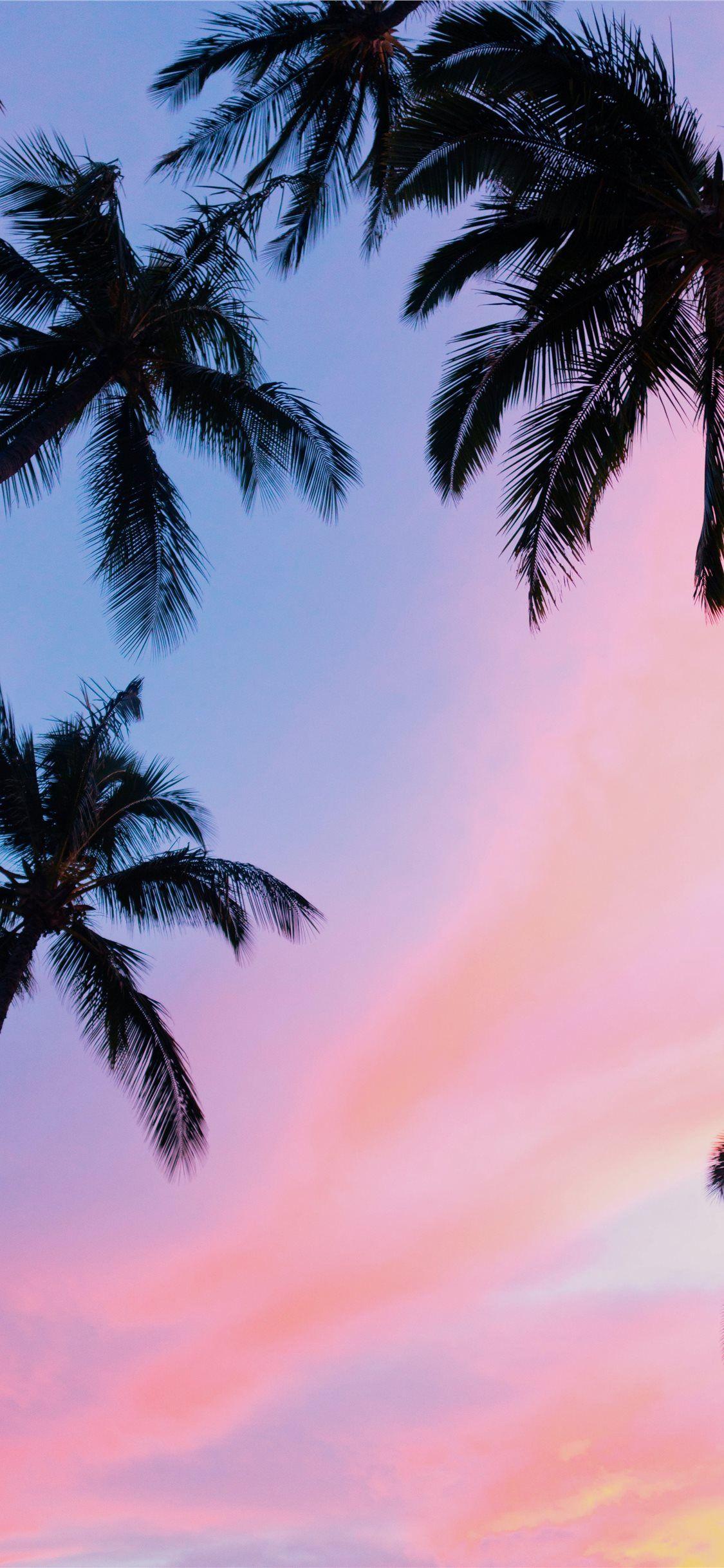 1125x2436 Best Pink iPhone X Wallpaper Free HD