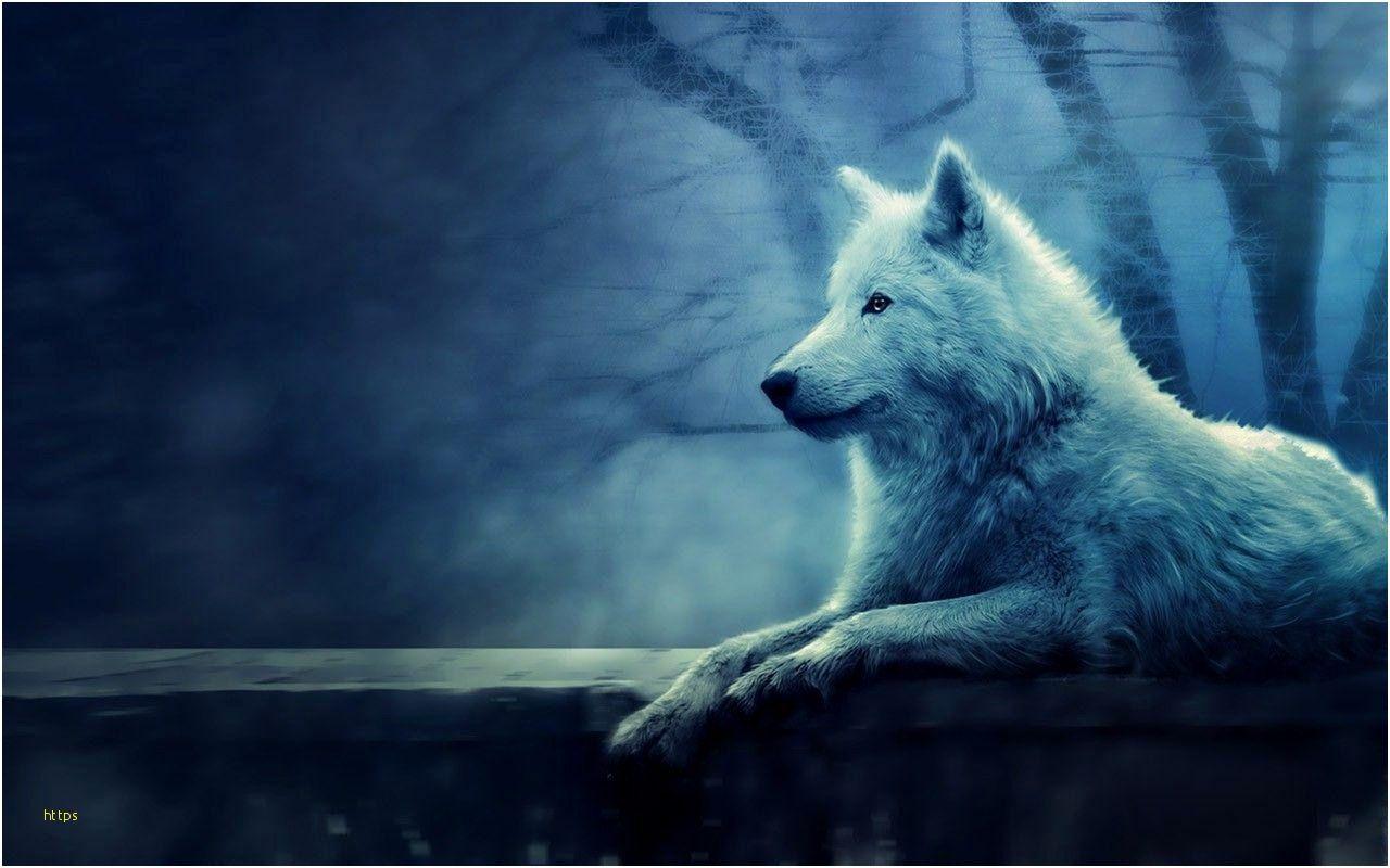 1280x800 Wolf Wallpaper Awesome Lone Wolf Wallpaper Wallpaper