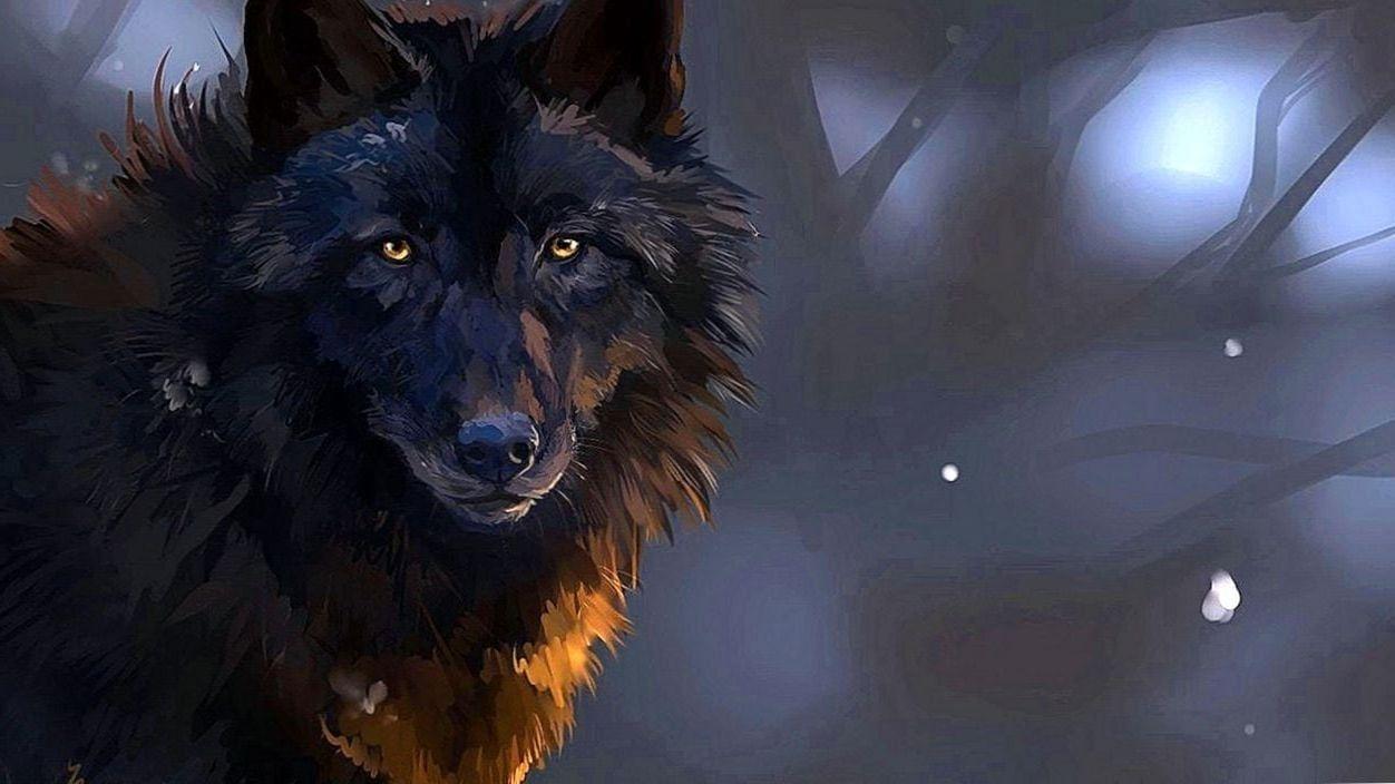 Epic Wolves Wallpapers - Top Free Epic Wolves Backgrounds - WallpaperAccess