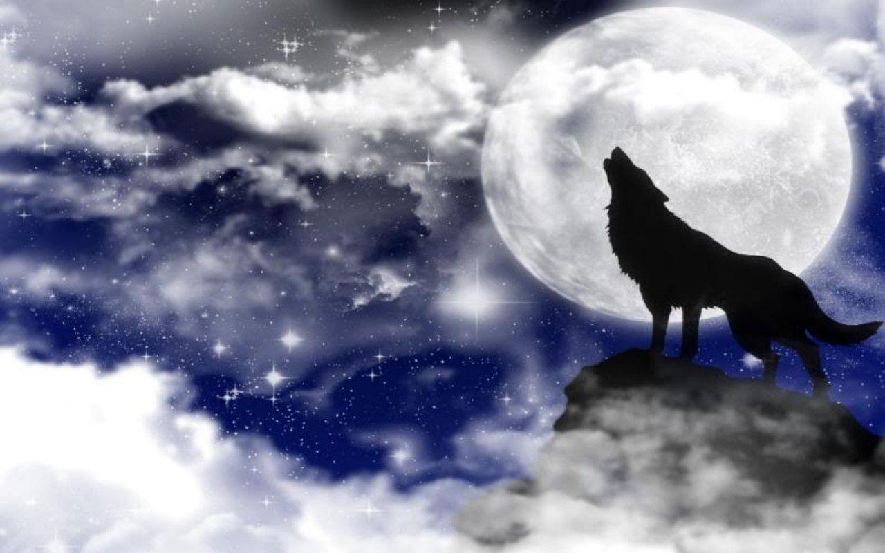 Howling 4K wallpapers for your desktop or mobile screen free and easy to  download