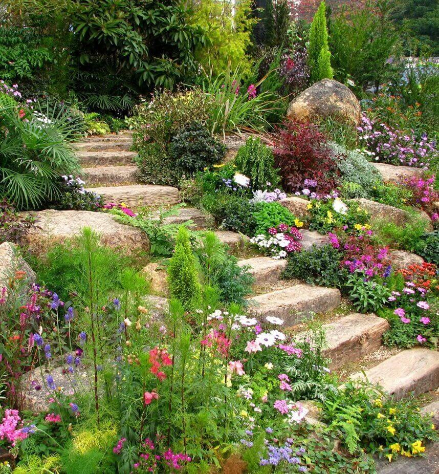 858x926 Beautiful Garden Wallpaper for Android