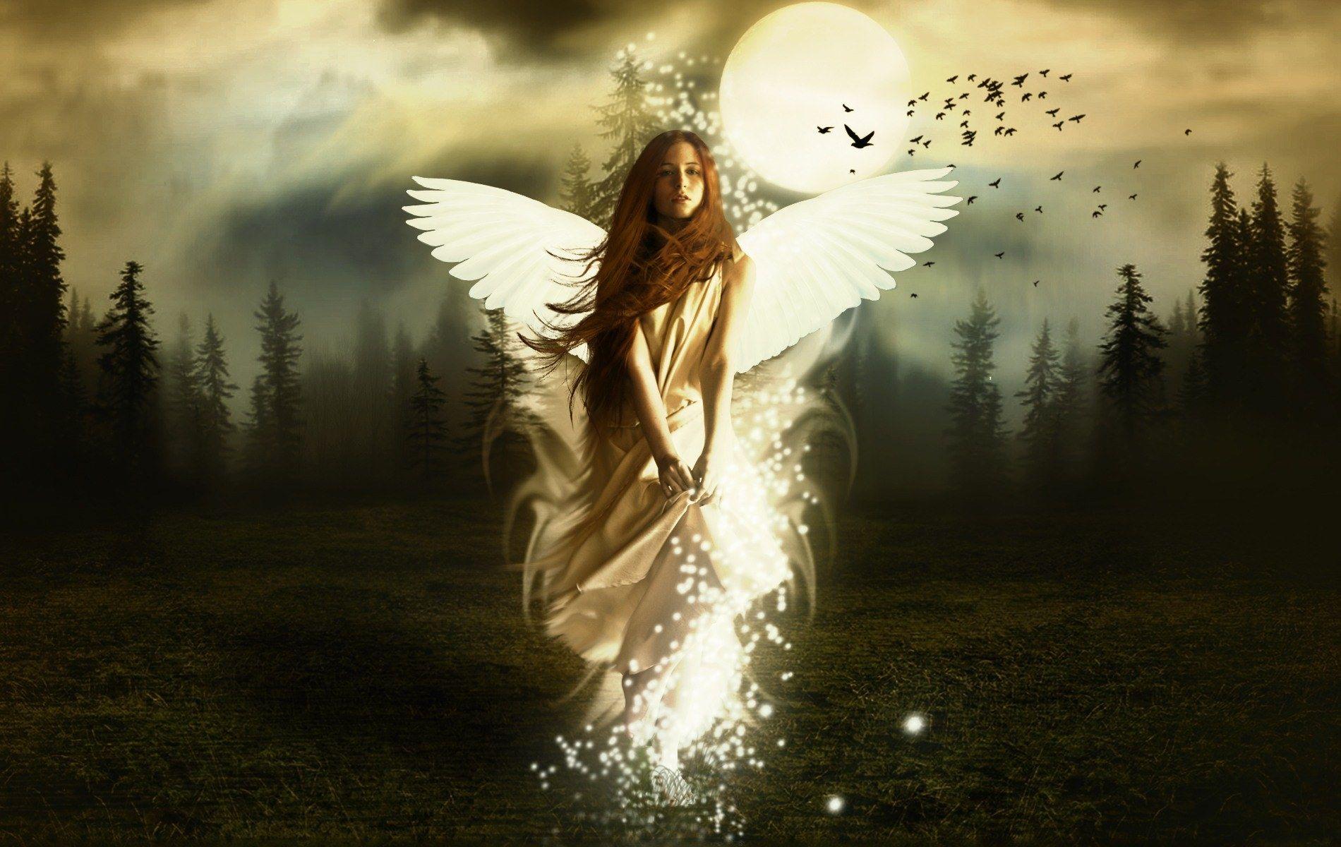 Angel Girl Wallpapers Top Free Angel Girl Backgrounds Wallpaperaccess