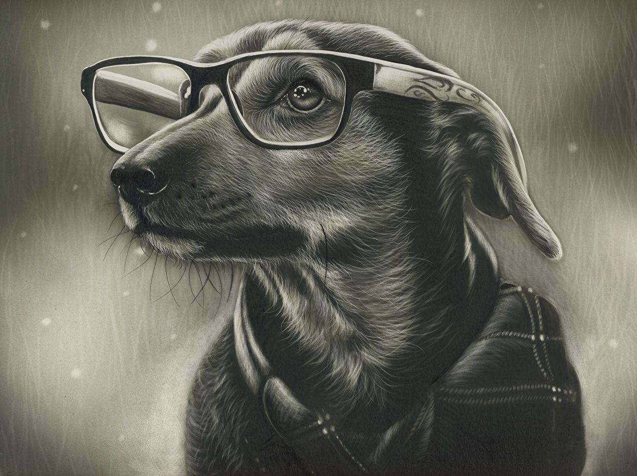 1280x957 Wallpaper Dogs eyeglasses Black and white Animals Painting Art