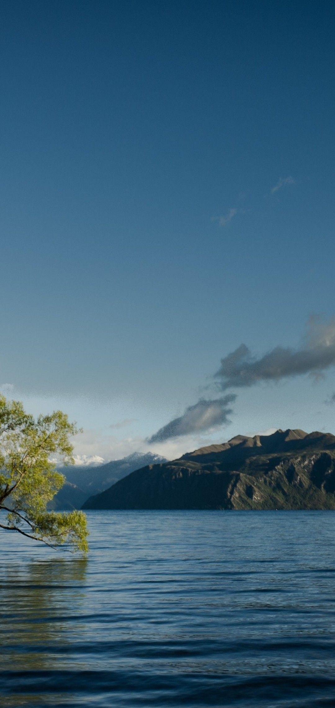 1080x2280 Lake Tree 4K Wallpaper [4919x3258] Wallpaper - [1080x2280]