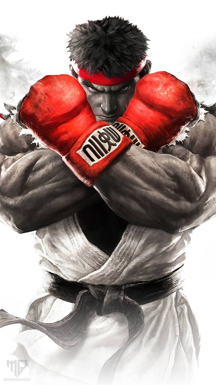 720x1280 Street Fighter V Wallpaper
