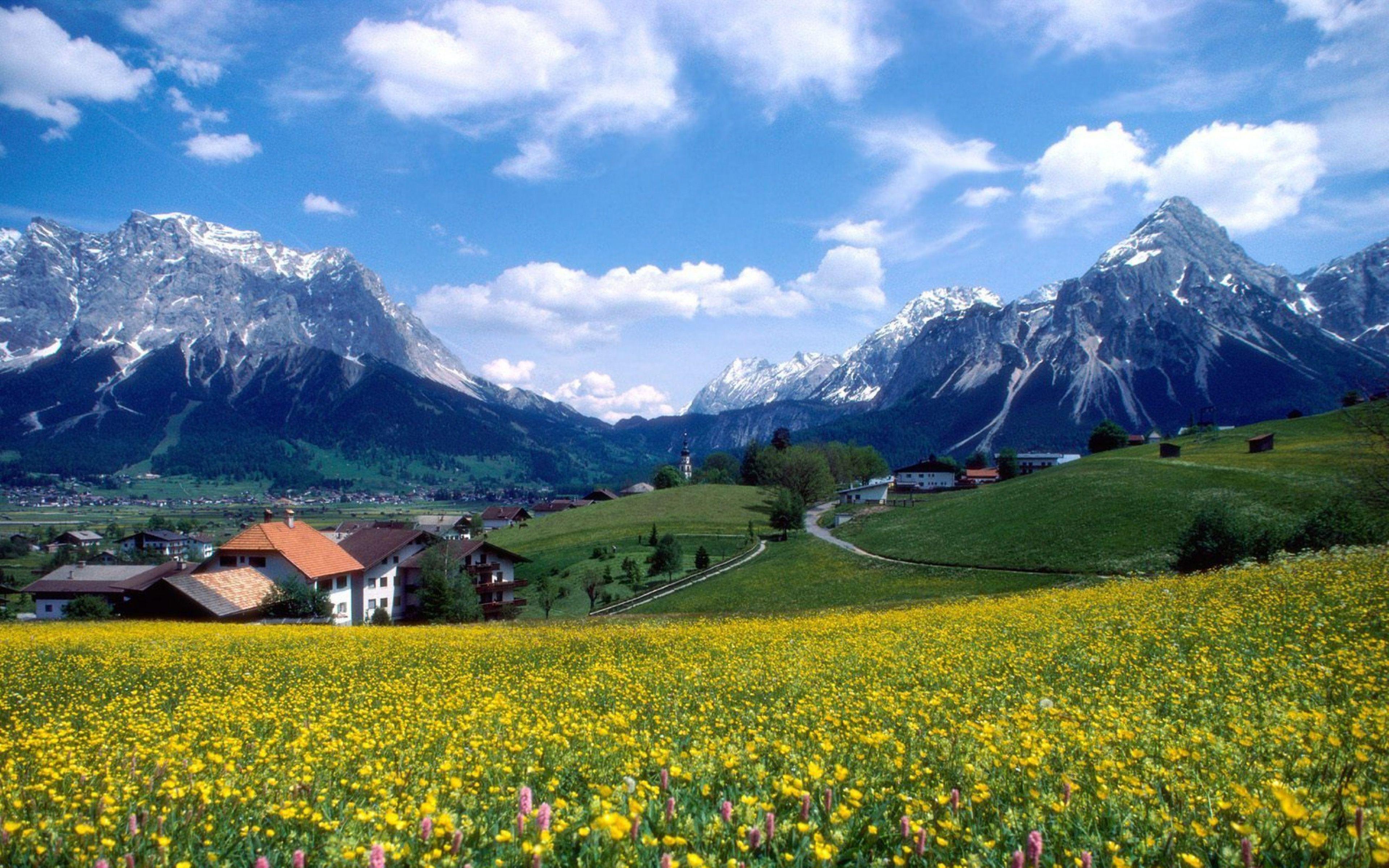 3840x2400 Landscape Spring Mountain Village With Snow Mountains Meadow Flowers