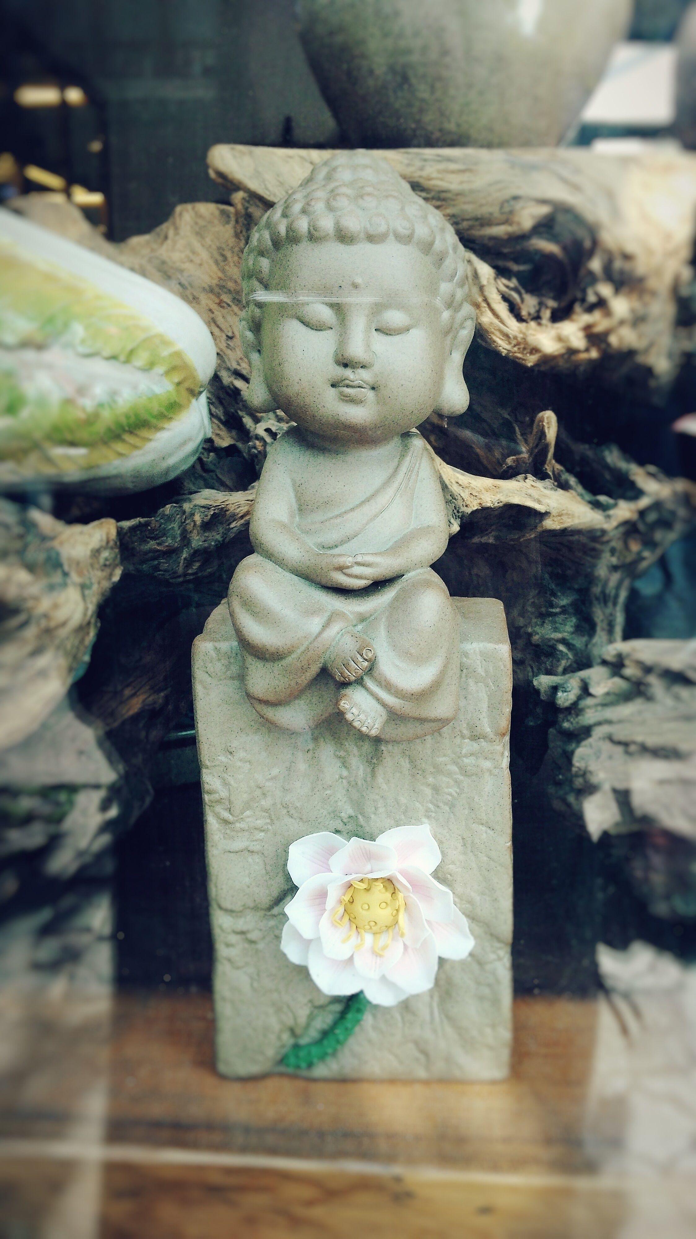 Baby Buddha Wallpapers Top Free Baby Buddha Backgrounds WallpaperAccess