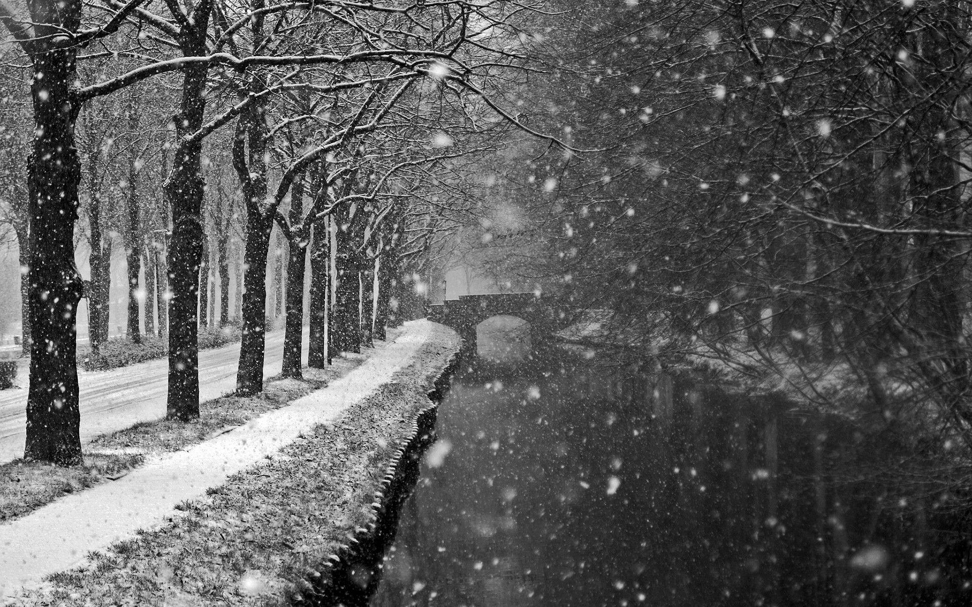 1920x1200 Winter Snow Storm Wallpaper