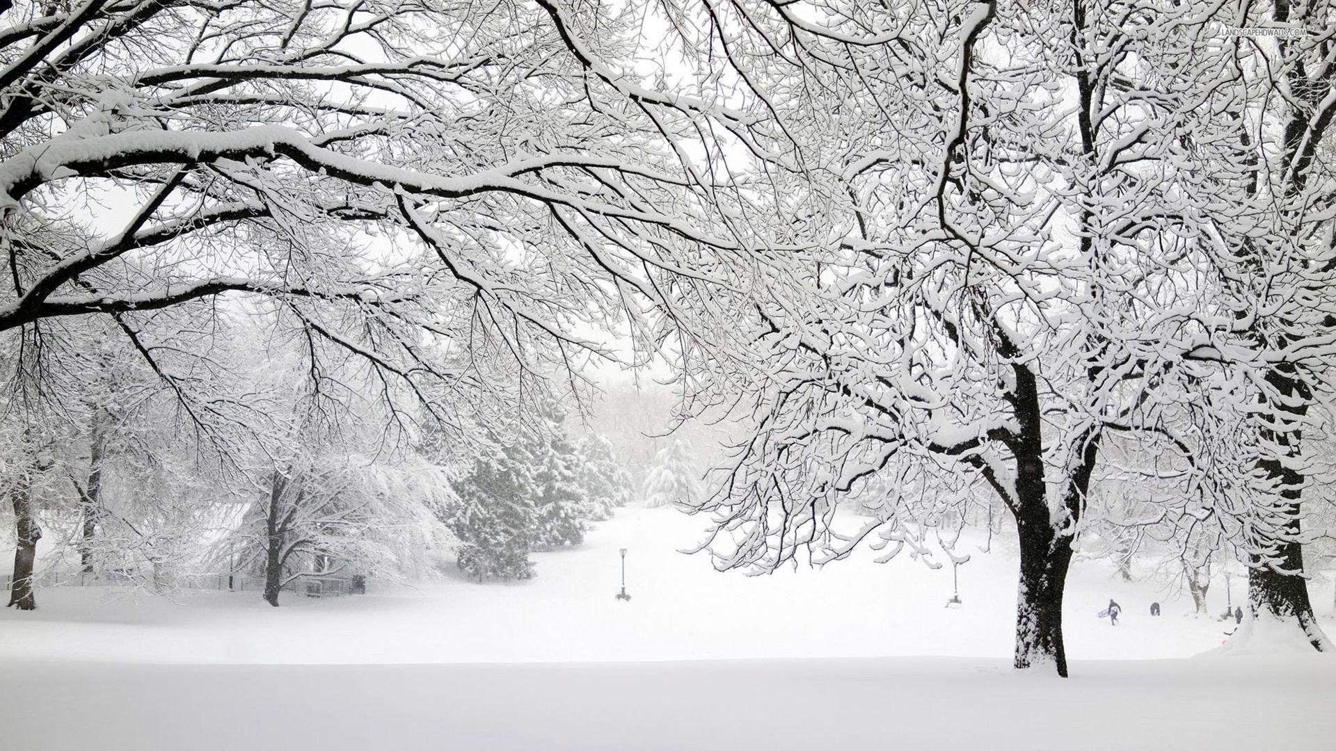 1920x1080 Snowstorm Wallpaper. Snowstorm