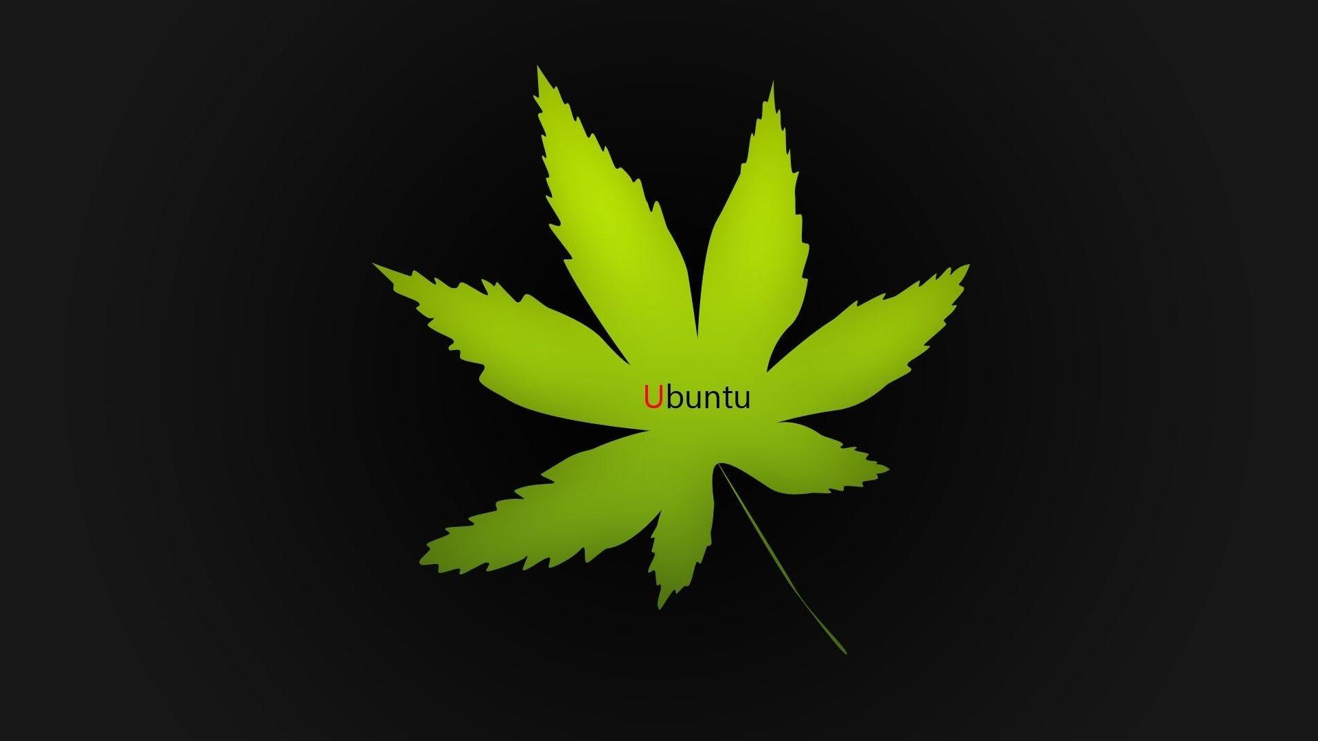 1920x1080 Ganja Marijuana Wallpaper Download Ganja Marijuana Wallpaper
