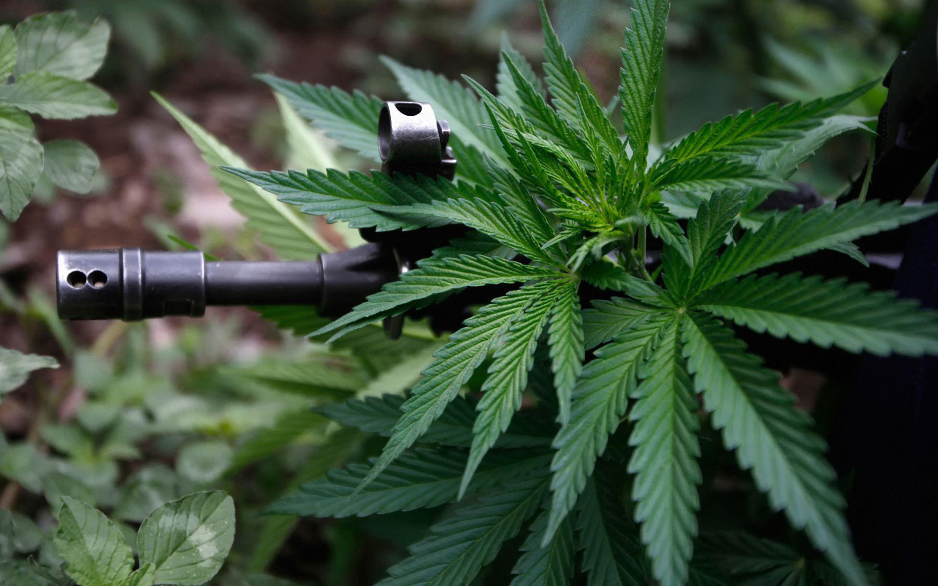1920x1200 Ganja Cannabis automatic hashish weapons guns marijuana