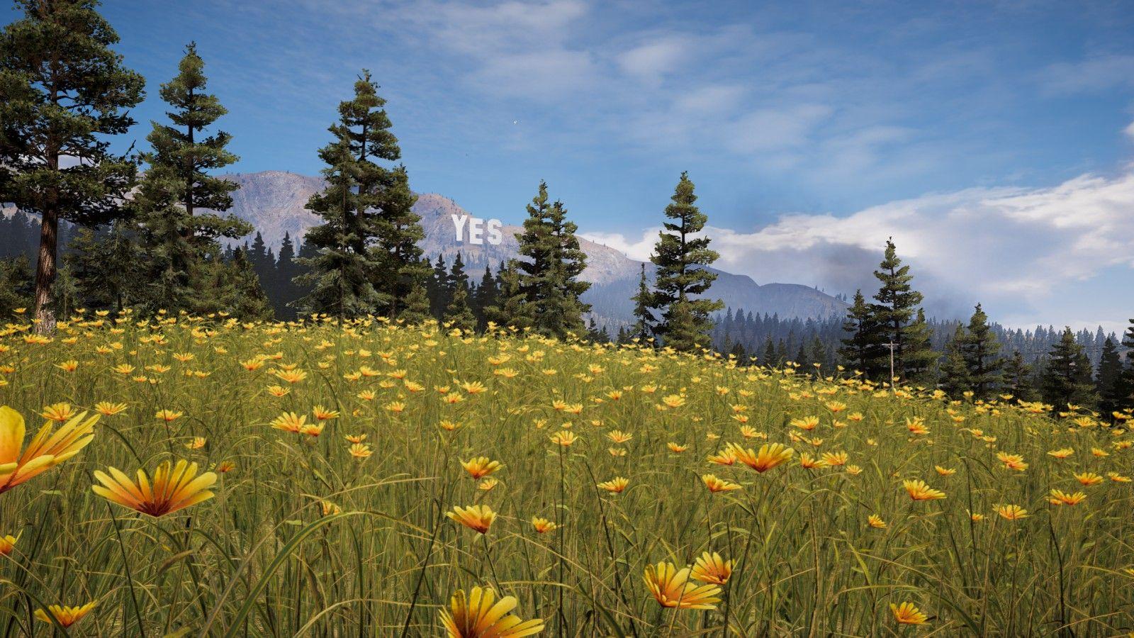 Far Cry 5 Wallpapers Top Free Far Cry 5 Backgrounds