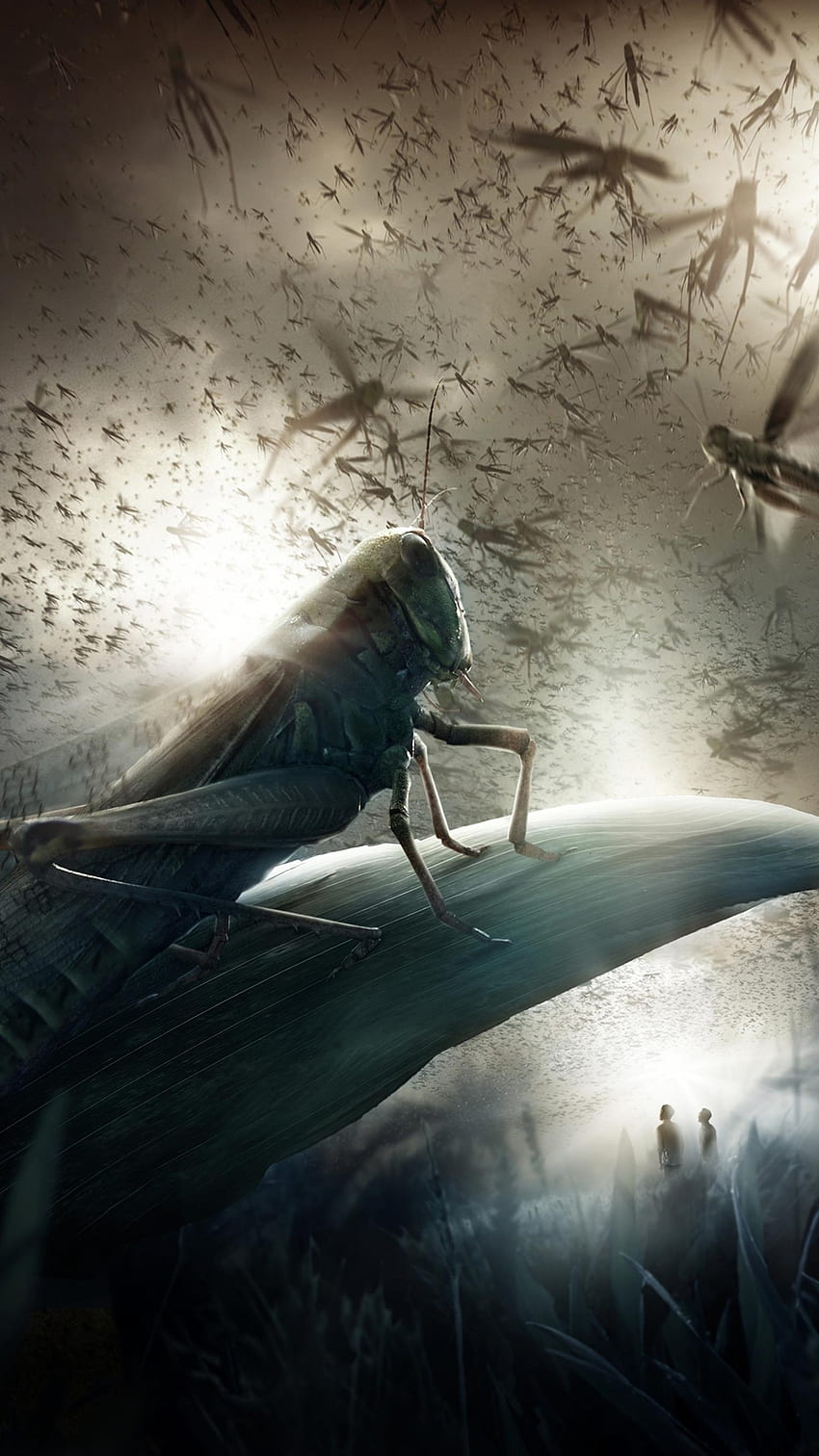 850x1512 The Three Body Problem (2022) movie HD