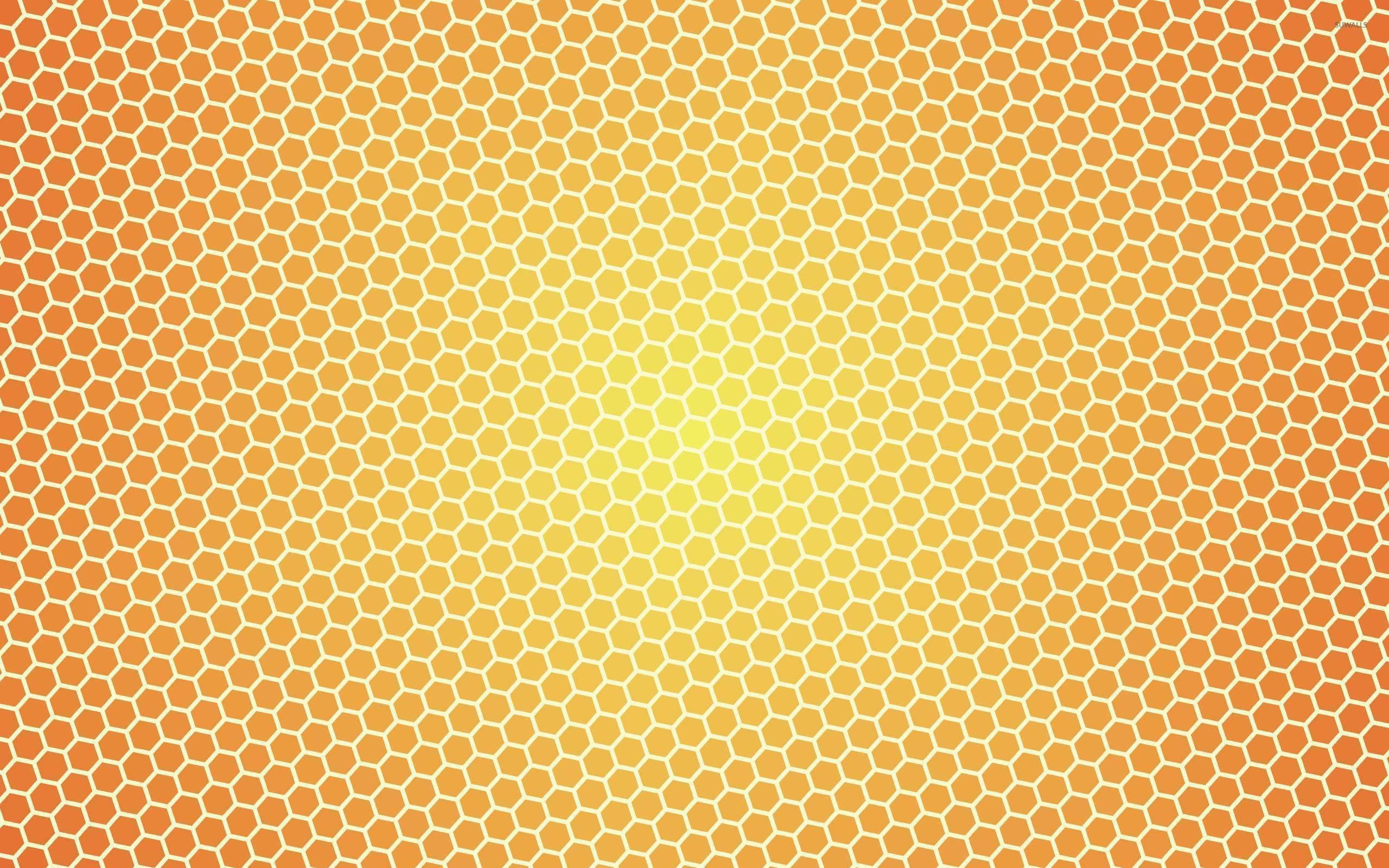 Honey Wallpaper HD 44057 1920x1200px