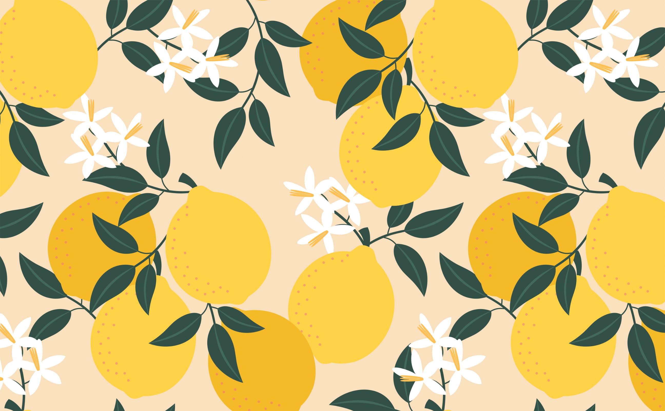 2592x1602 Lemon Tart