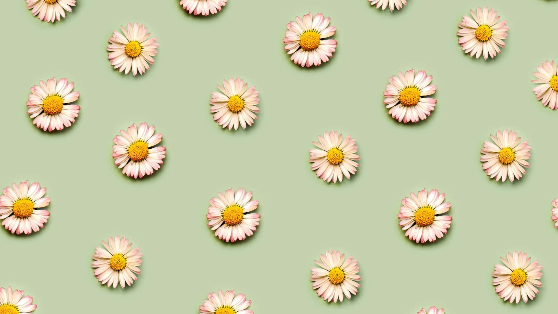 1920x1080 Sage Green Laptop Wallpaper