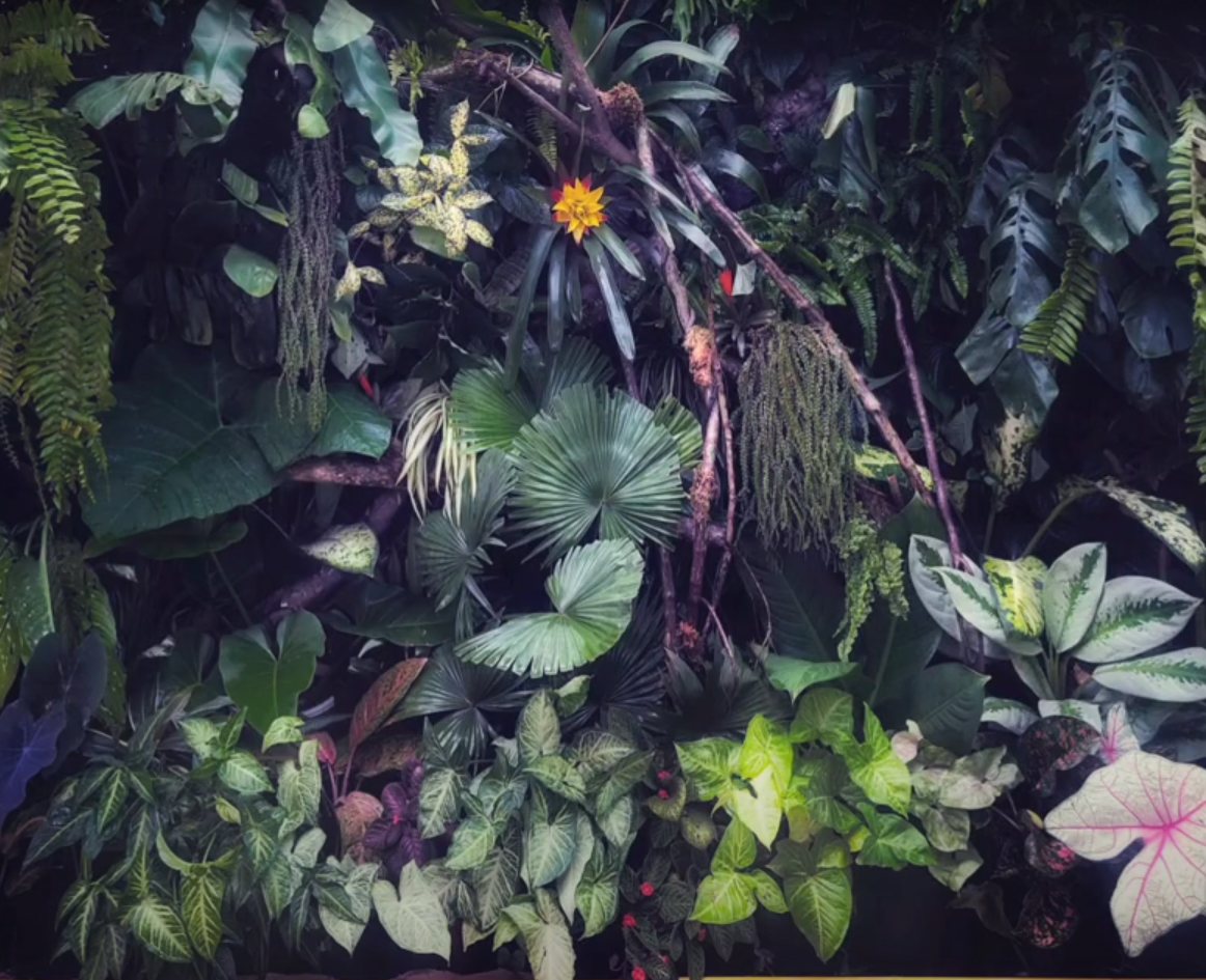 1162x945 Living Walls & Vertical Gardens