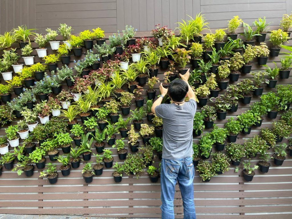 1024x768 What Is a Vertical Garden?