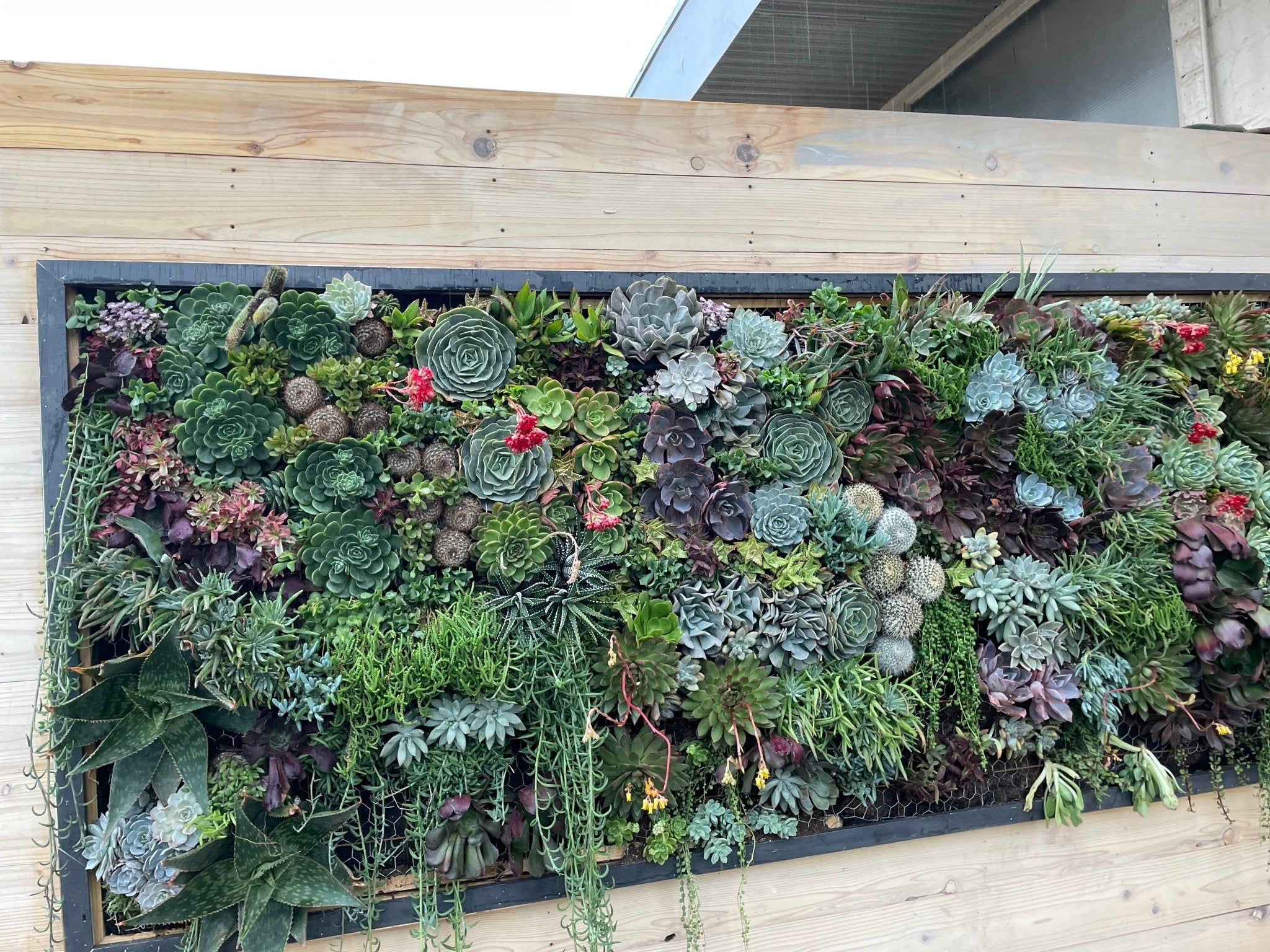 2048x1536 Horizontal Garden Wall 3.4ft x 5.6ft
