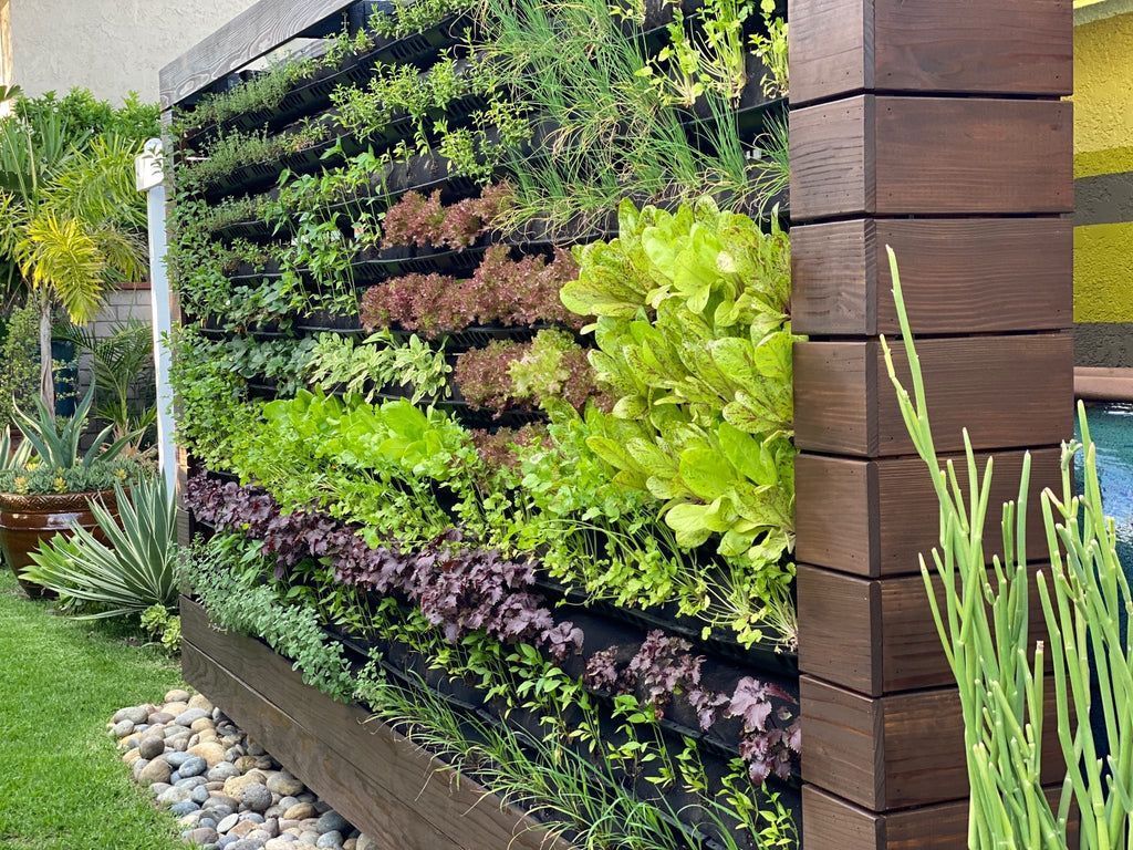 1024x768 Vertical Gardening in 2024