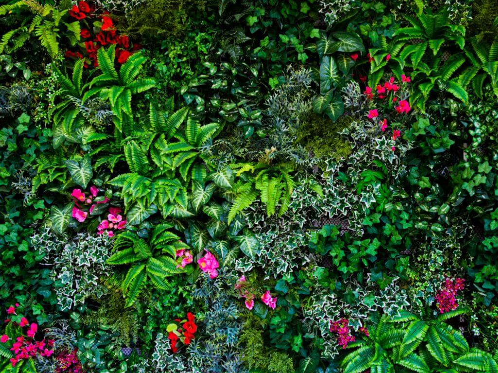 1024x768 vertical garden wall