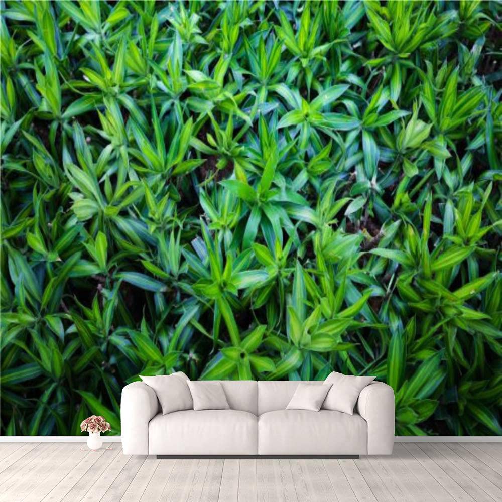 1000x1000 Wall Stickers & Murals