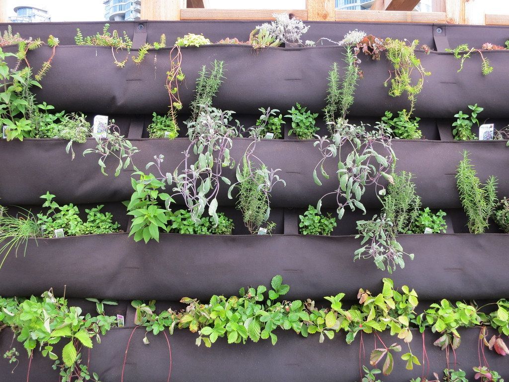 1024x768 Vertical gardening. I'm definitely