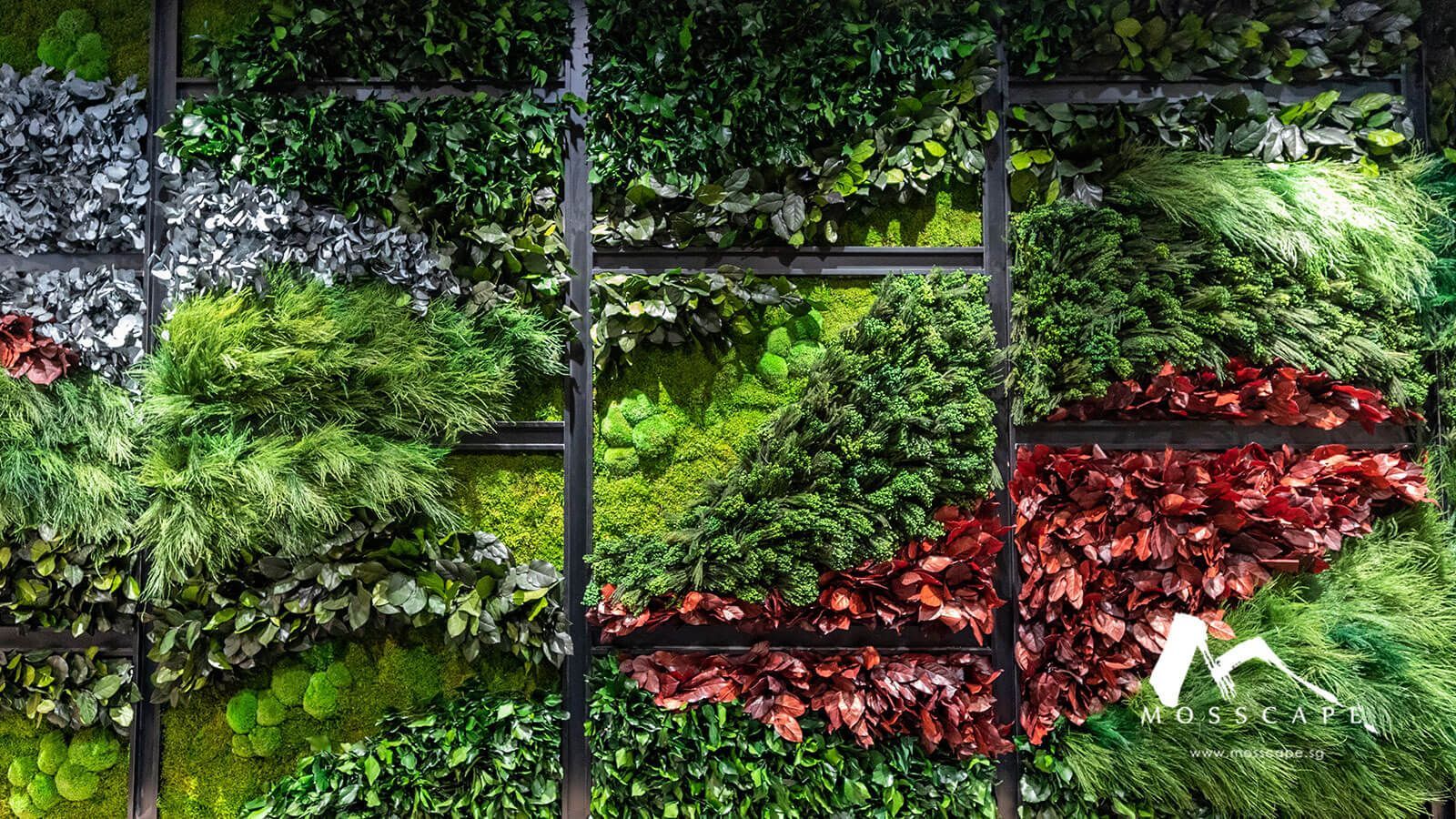 1600x900 Indoor Vertical Garden in Singapore
